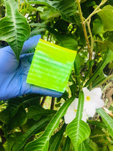 Load image into Gallery viewer, Glow Bar