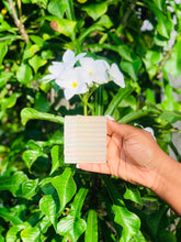 Load image into Gallery viewer, Sea Moss Bar