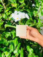 Load image into Gallery viewer, Sea Moss Bar