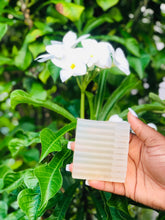 Load image into Gallery viewer, Sea Moss Bar