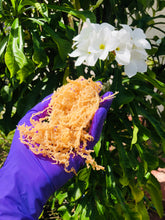 Load image into Gallery viewer, Sea Moss Shower Gel