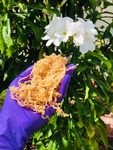 Load image into Gallery viewer, Sea Moss Bar