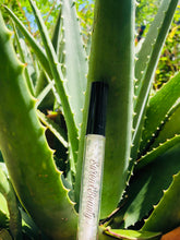 Load image into Gallery viewer, AP Lipgloss