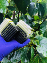 Load image into Gallery viewer, Lady Moringa (Menstrual Bar)