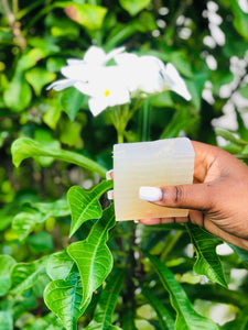 Sea Moss Bar