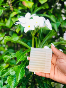Sea Moss Bar