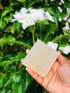 Sea Moss Bar