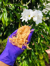 Load image into Gallery viewer, Sea Moss Shower Gel
