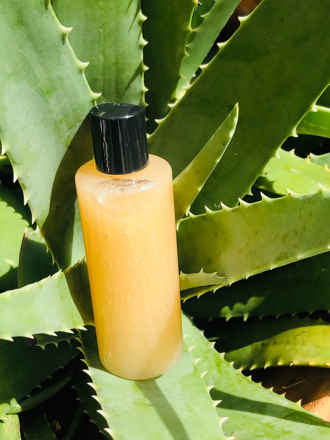 Sea Moss Shower Gel